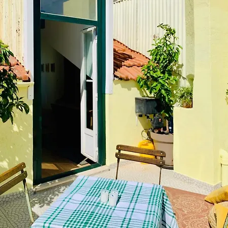 Jolly Jolie W Terrace